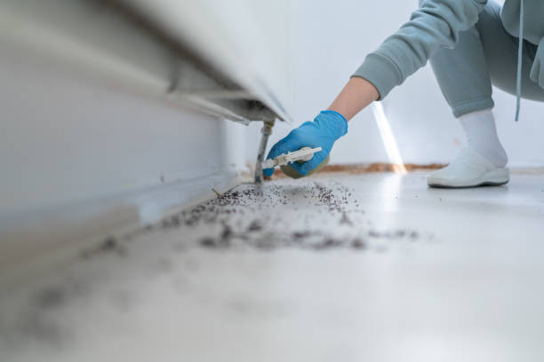 Best Pest Removal Services  in Ashville, OH